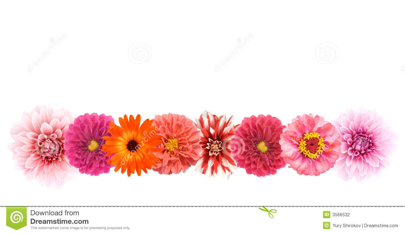 Different Colors Flower Border Isolated On White 
