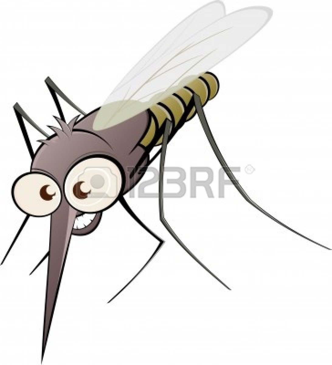 Gnat Clipart 10385772 Nasty Cartoon Mosquito Jpg