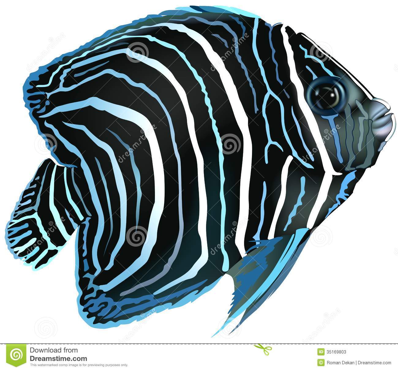 Go Back   Images For   Angel Fish Clipart