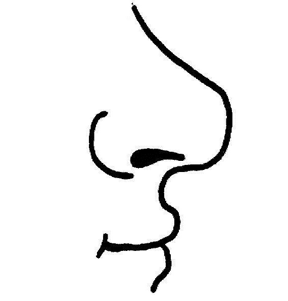 Nose Clip Art Black And White   Clipart Panda   Free Clipart Images