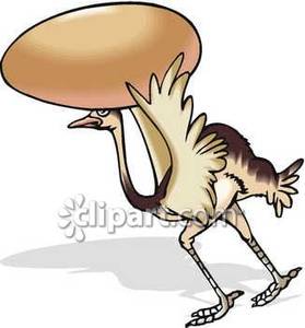 Ostrich Carrying A Huge Egg   Royalty Free Clipart Picture