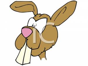 Rabbit With Huge Teeth   Royalty Free Clipart Picture
