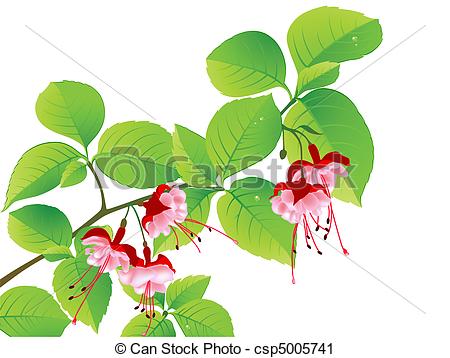 Vector   Green Flowering Branch Of Tropical Tree   Stock Illustration