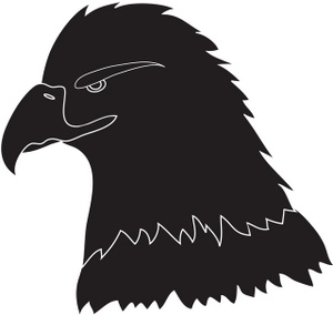 Black And White Bald Eagle   