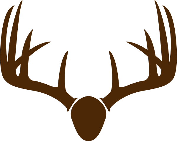 Brown Deer Skull Mount Clip Art At Clker Com   Vector Clip Art Online