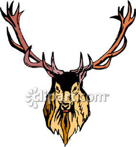Deer Head With Giant Antlers   Royalty Free Clipart Picture