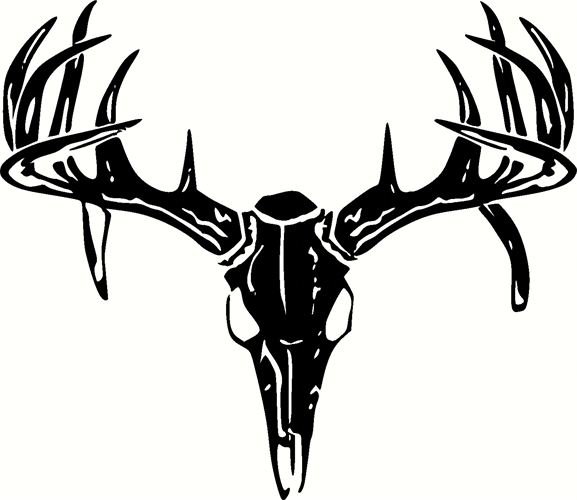 Deer Skull Images