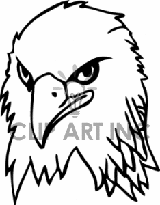     Facing Bald Eagle  Black And White Clipart Image Picture Art   130205