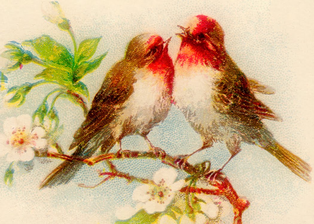 Here Is A Victorian Illustration Of Mr  And Mrs  Robin Perched On A
