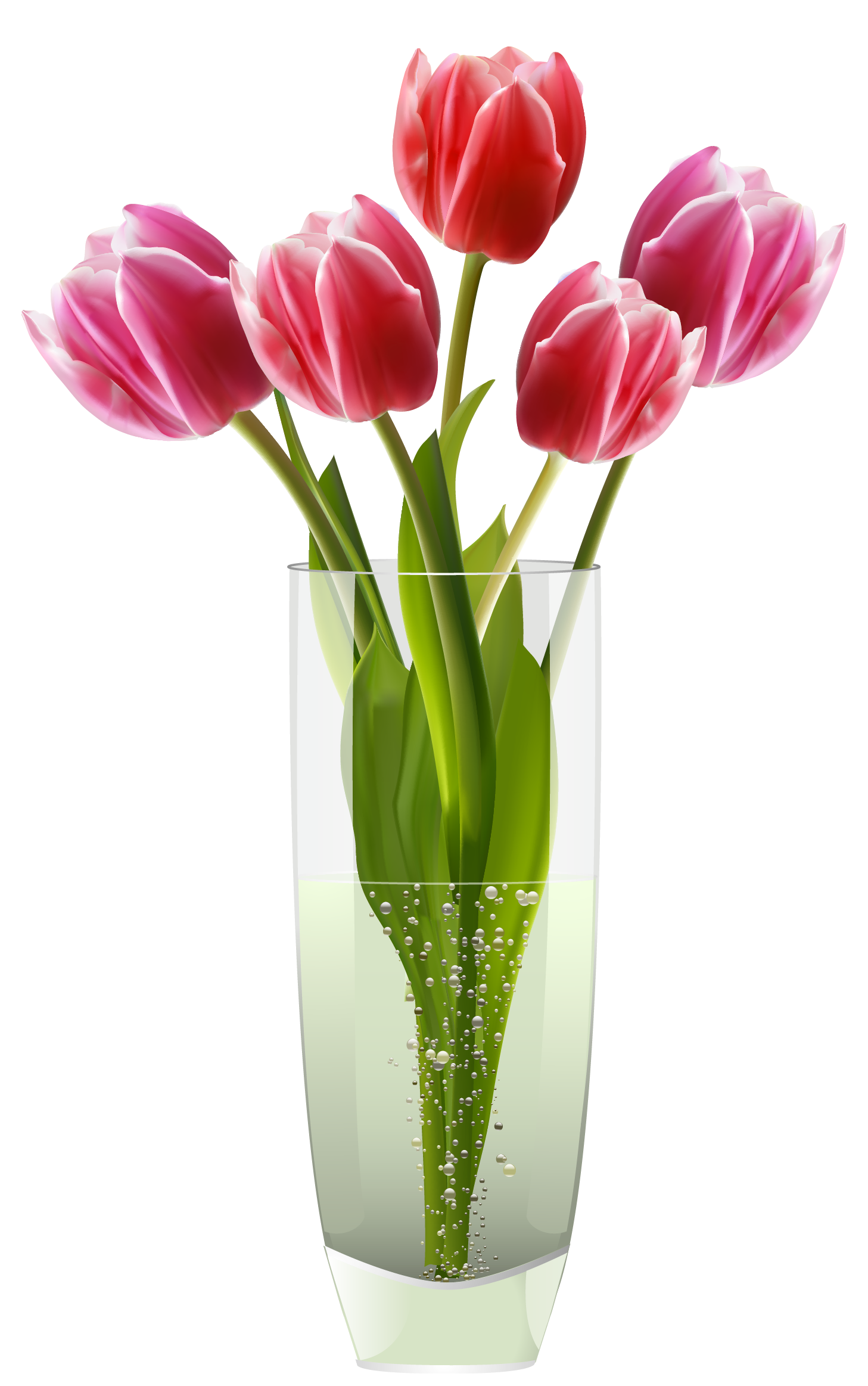 Pink Red Tulips Vase Png Clipart   Clipart Best   Clipart Best