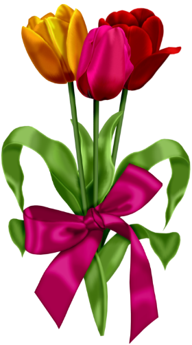 Red Pink And Yellow Tulips Clipart