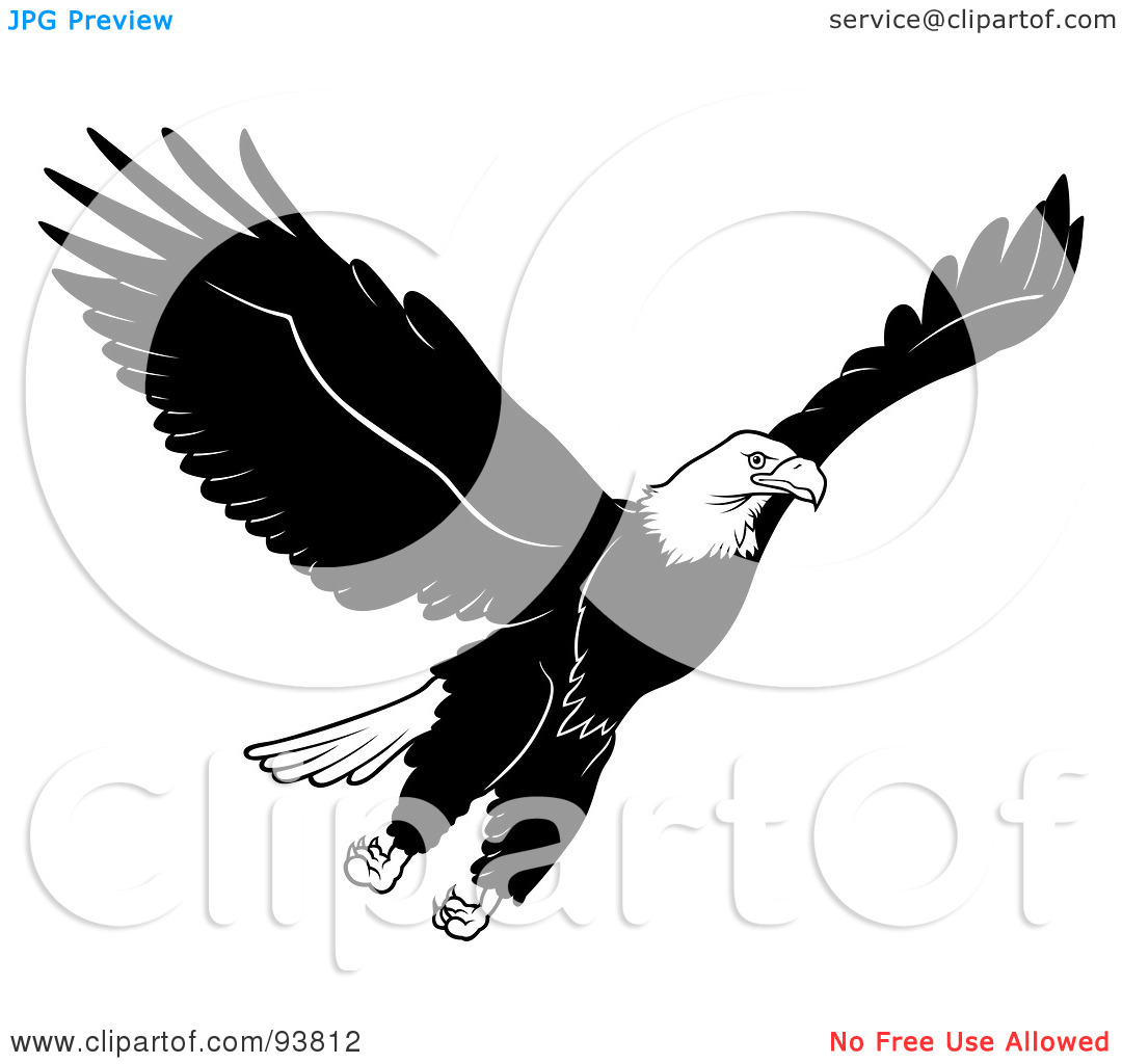 Royalty Free  Rf  Clipart Illustration Of A Black And White Bald Eagle