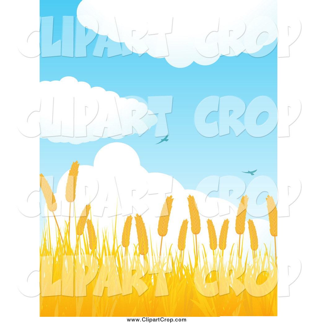     Art Vector Of Birds Over A Golden Wheat Field By Elaineitalia    768