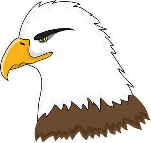 Bald Eagle Clipart Image   Squinting Bald Eagle In Profile