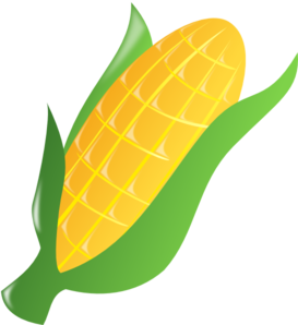 Cartoon Corn Stalk   Clipart Best