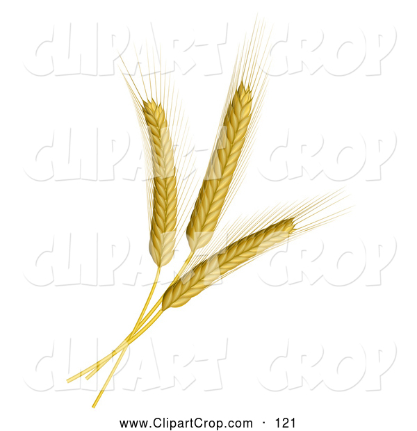 Clip Art Wheat Stalks