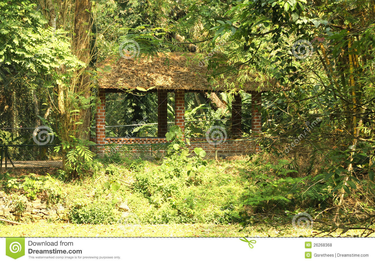 Jungle Hut Clipart Jungle Hut In Deep Vegetation