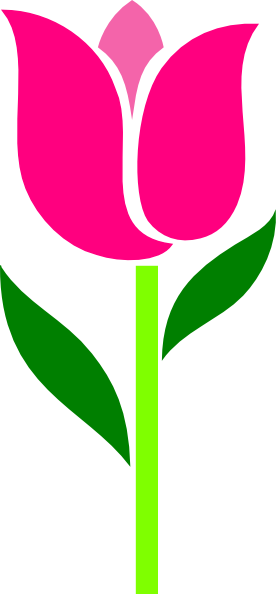 Pink Tulip Leaves Askew Clip Art At Clker Com   Vector Clip Art Online