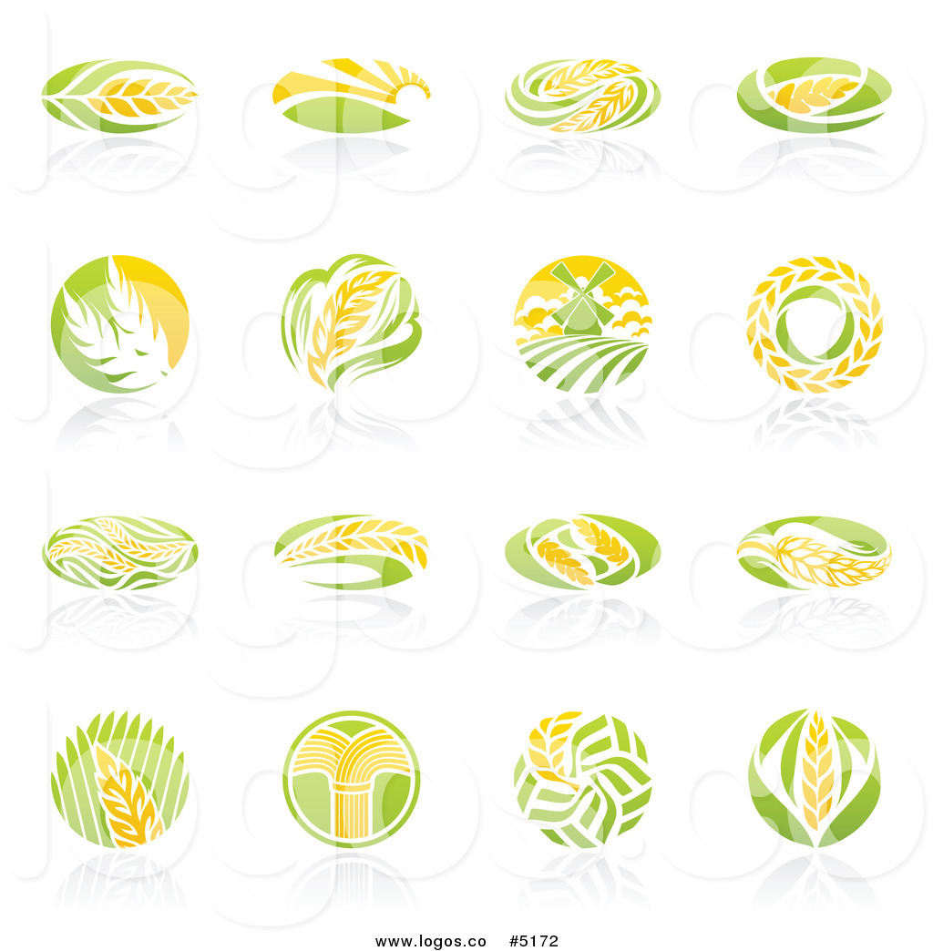 Royalty Free Vector Of Wheat Logos With Reflections By Elena    5172