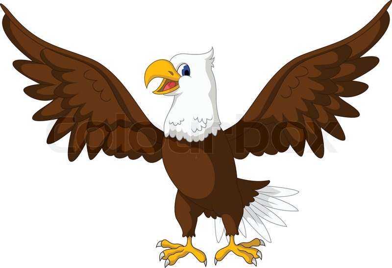 Vector Illustration Of Cute Eagle Cartoon Posing   Vector   Colourbox