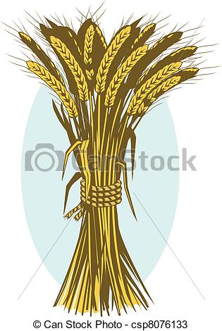 Vectors Of Wheat Bushel   Clip Art Of A Wheat Bundle Or Bushel
