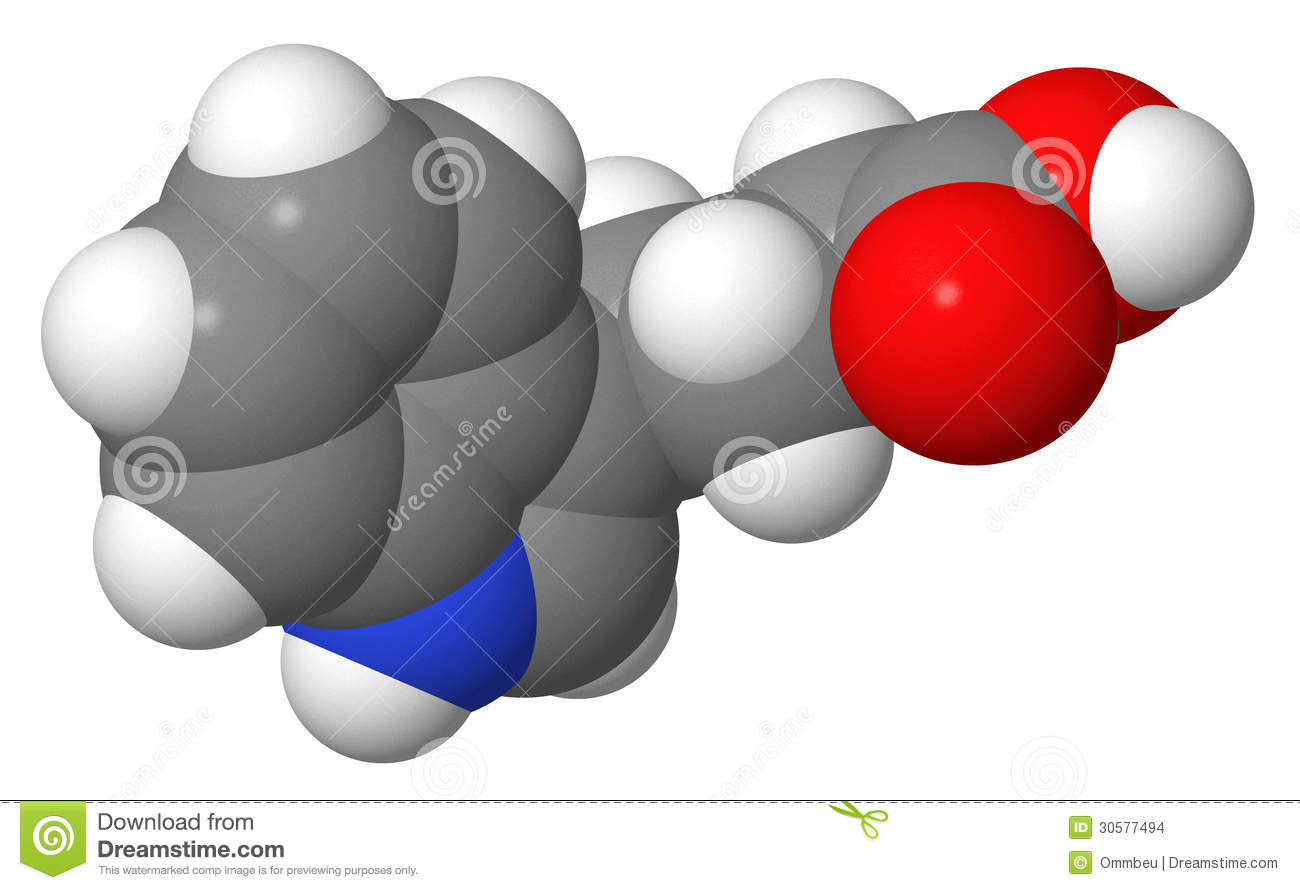 Auxins   Indole 3 Butyric Acid  Iba    Spacefill Molecular Model