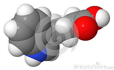 Auxins   Indole 3 Butyric Acid  Iba    Spacefill Molecular Model