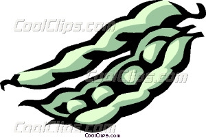 Fava Beans Vector Clip Art