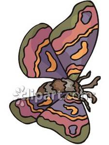Gypsy Moth   Royalty Free Clipart Picture