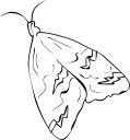 Moth Clipart   Royalty Free Insect Clip Art