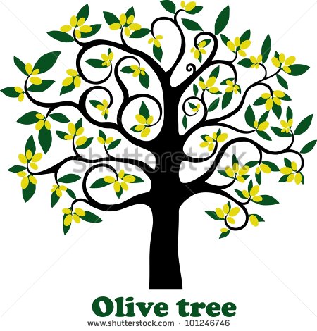 Olive Tree Full Of Olives Isolated On White Background  Illustration