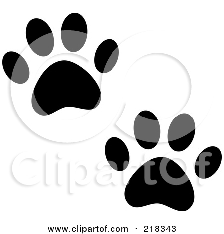 Raccoon Dog Cat And Bear Tracks With Words By Pams Clipart  218335