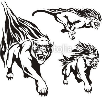 Three Lionesses In A Black Flame  Flaming Big Cats  Stok G Rseller
