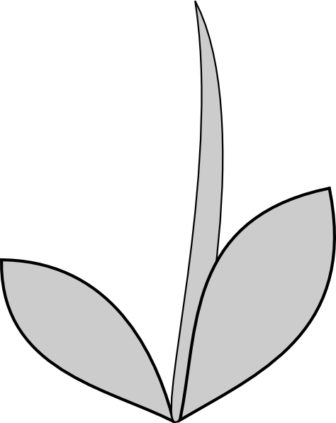 Flower With Stem Clipart Gray Flower Stem Clip Art
