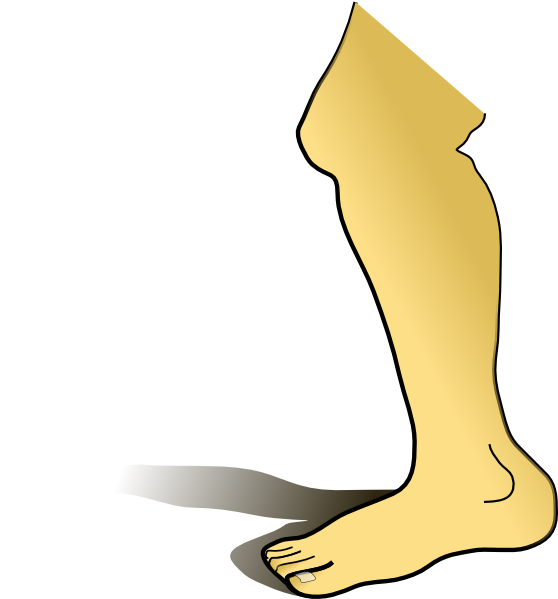 Free Leg   Ankle Clip Art