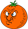 Fruit   Orange Return Address Labels