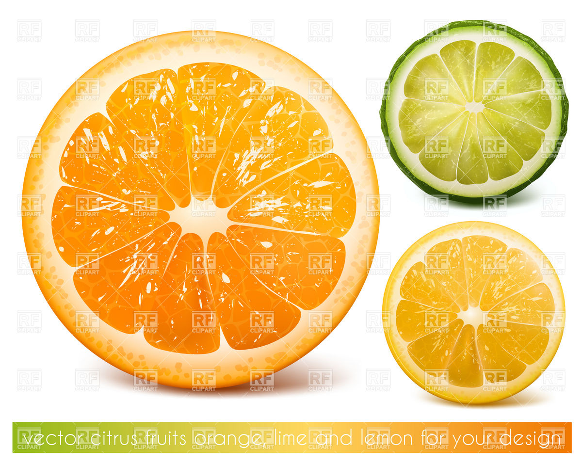 Orange Fruit Clipart Citrus Fruits Cut   Orange
