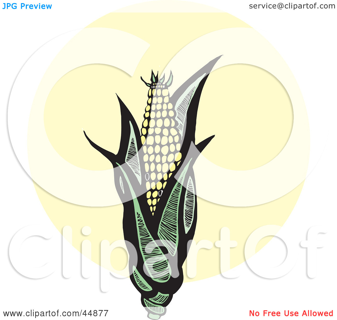 Royalty Free  Rf  Clipart Illustration Of An Organic Ear Of Corn With