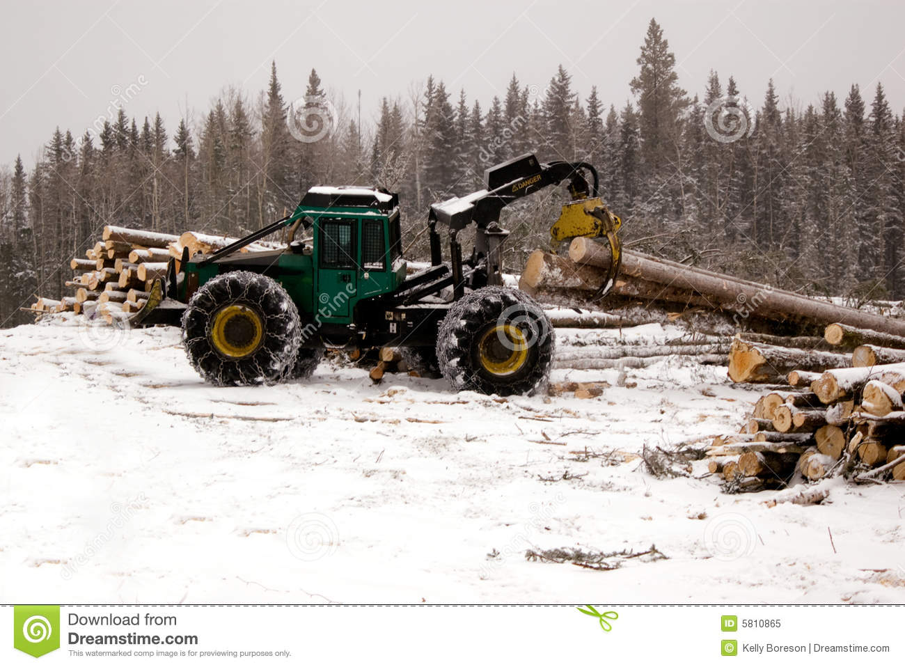 Skidder Hauling Spruce Tree Royalty Free Stock Photo   Image  5810865
