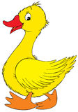 Yellow Goose  Vector Clip Art  Royalty Free Stock Images   Image