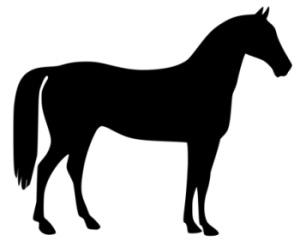 13 Draft Horse Clipart   Free Cliparts That You Can Download To You