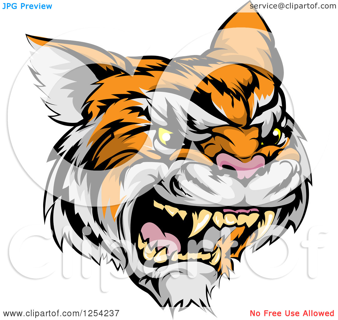 Angry Tiger Face Clip Art Clipart Of A Roaring Angry Tiger Mascot Head
