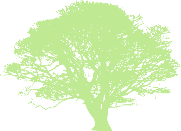 Apple Green Oak Tree Clip Art