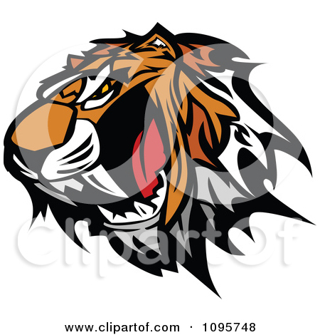 Clipart Angry Tiger Mascot Head Baring Teeth   Royalty Free Vector