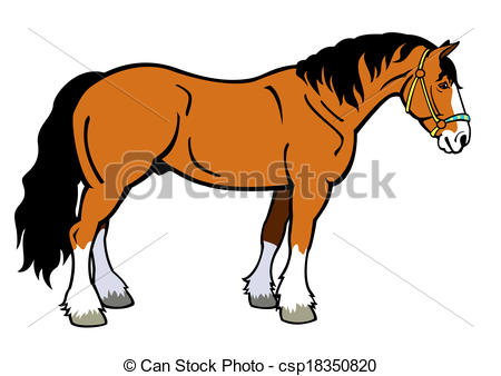 Draft Horse Side View Image Isolated On White Background