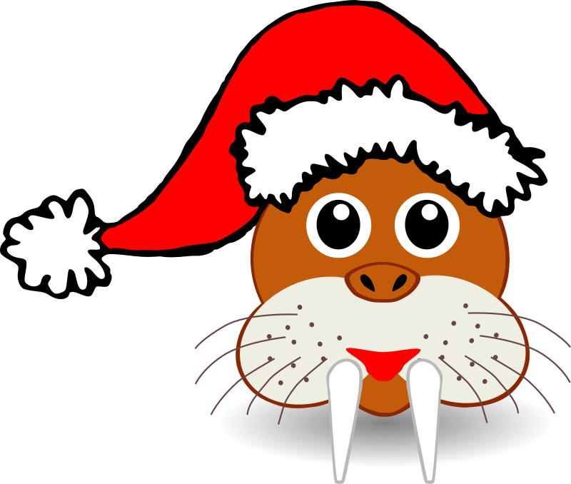 Funny Walrus Face With Santa Claus Hat By Palomaironique