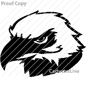 Hawk Mascot Clipart   Clipart Panda   Free Clipart Images