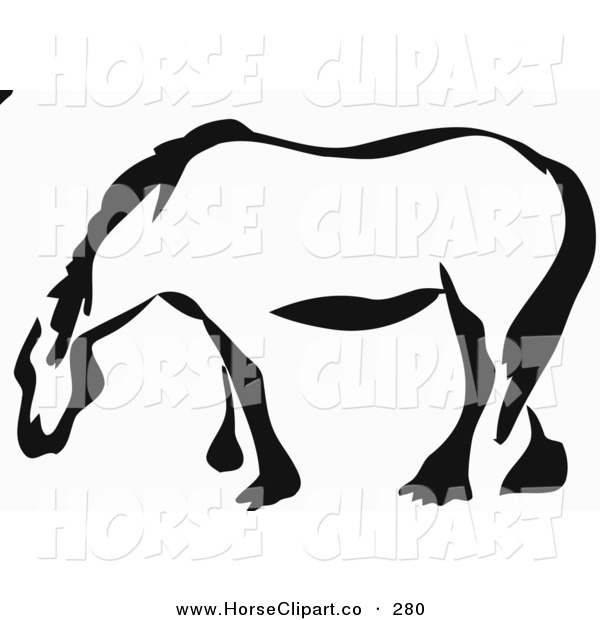 Image   Black And White Horse Clipart   Seivo Web Search Engine