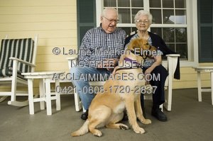     Images Pictures Service Dog Clipart   Service Dog Stock Photography