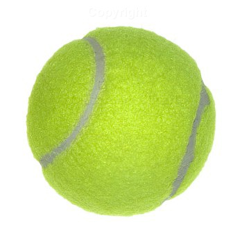 Lakelands   Announcements   Two Important Dates For Tennis Players